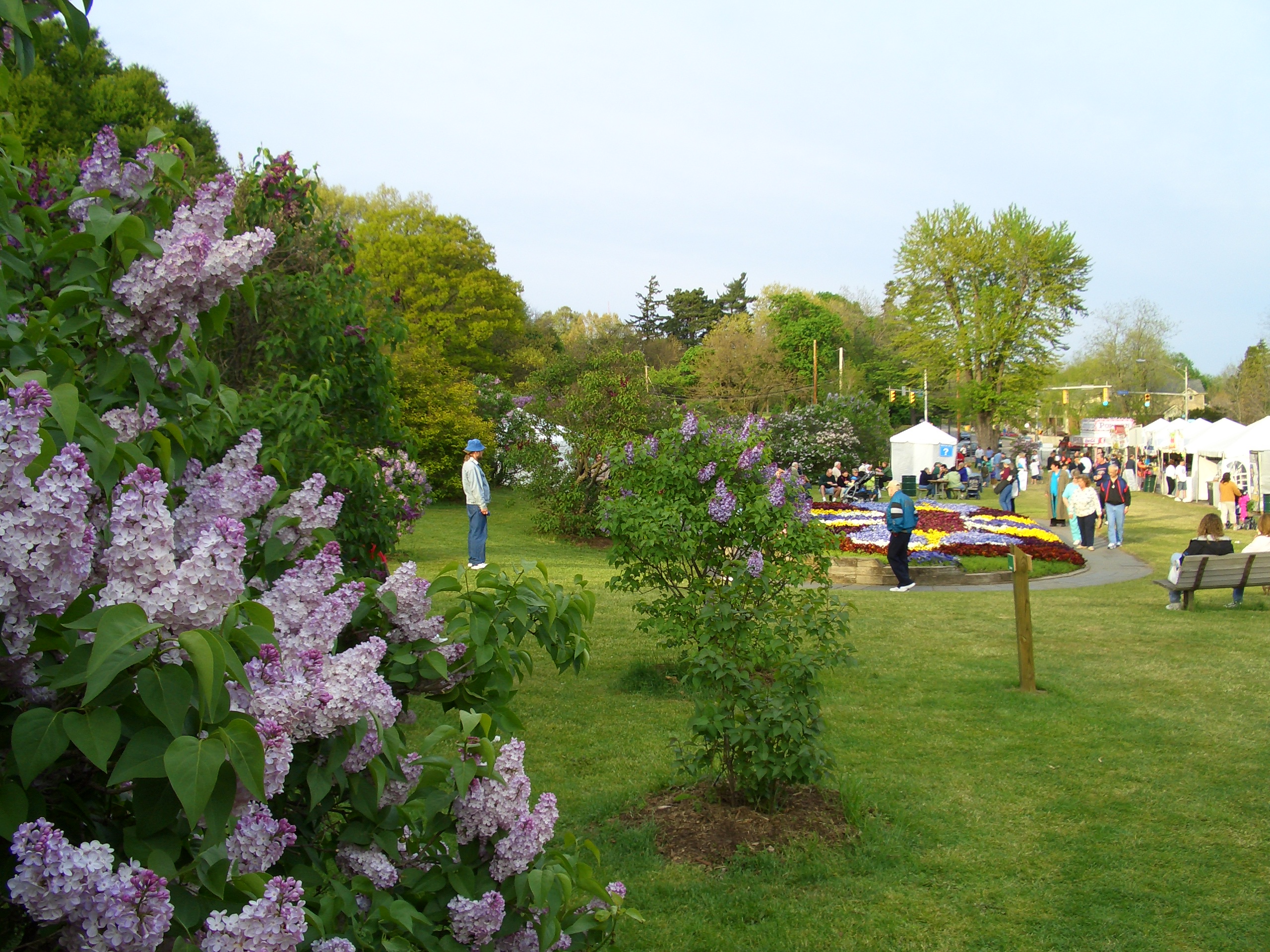 Lilac Festival